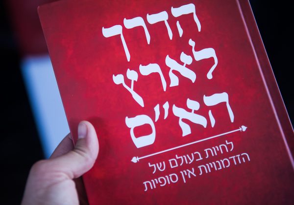 הדרך לארץ הא"ס (הזדמנויות אין סופיות)