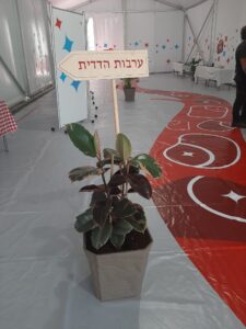 שינוי ארגוני