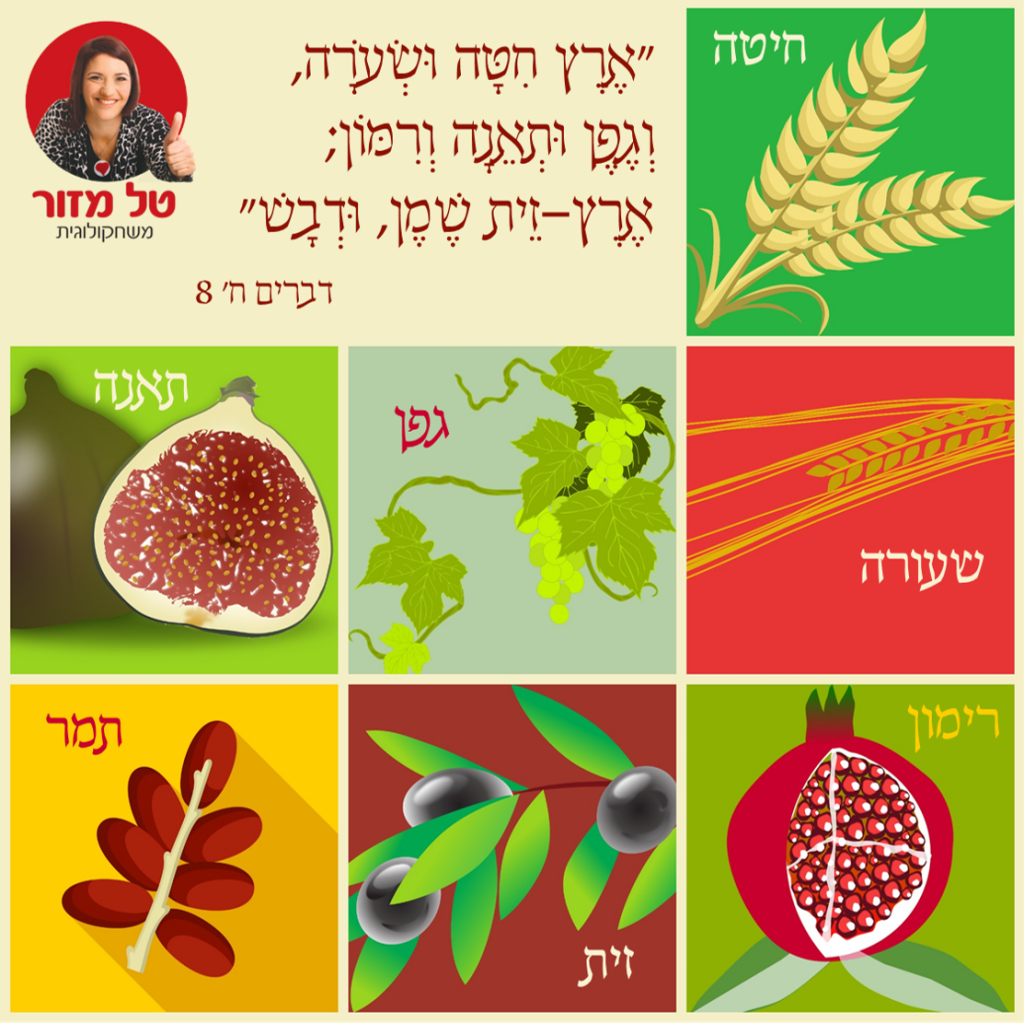 טל מזור - מישחוק ישיבות בארגונים